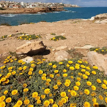 Maria - 200 Meters From The Torrevieja
