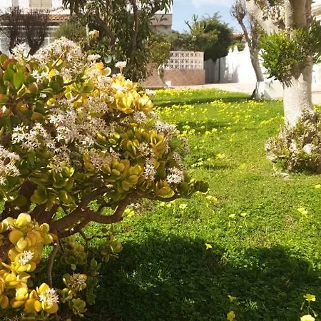 Maria - 200 Meters From The